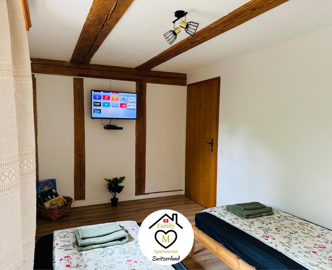 Family M Apartments 15 Kappel bei Olten Екстериор снимка