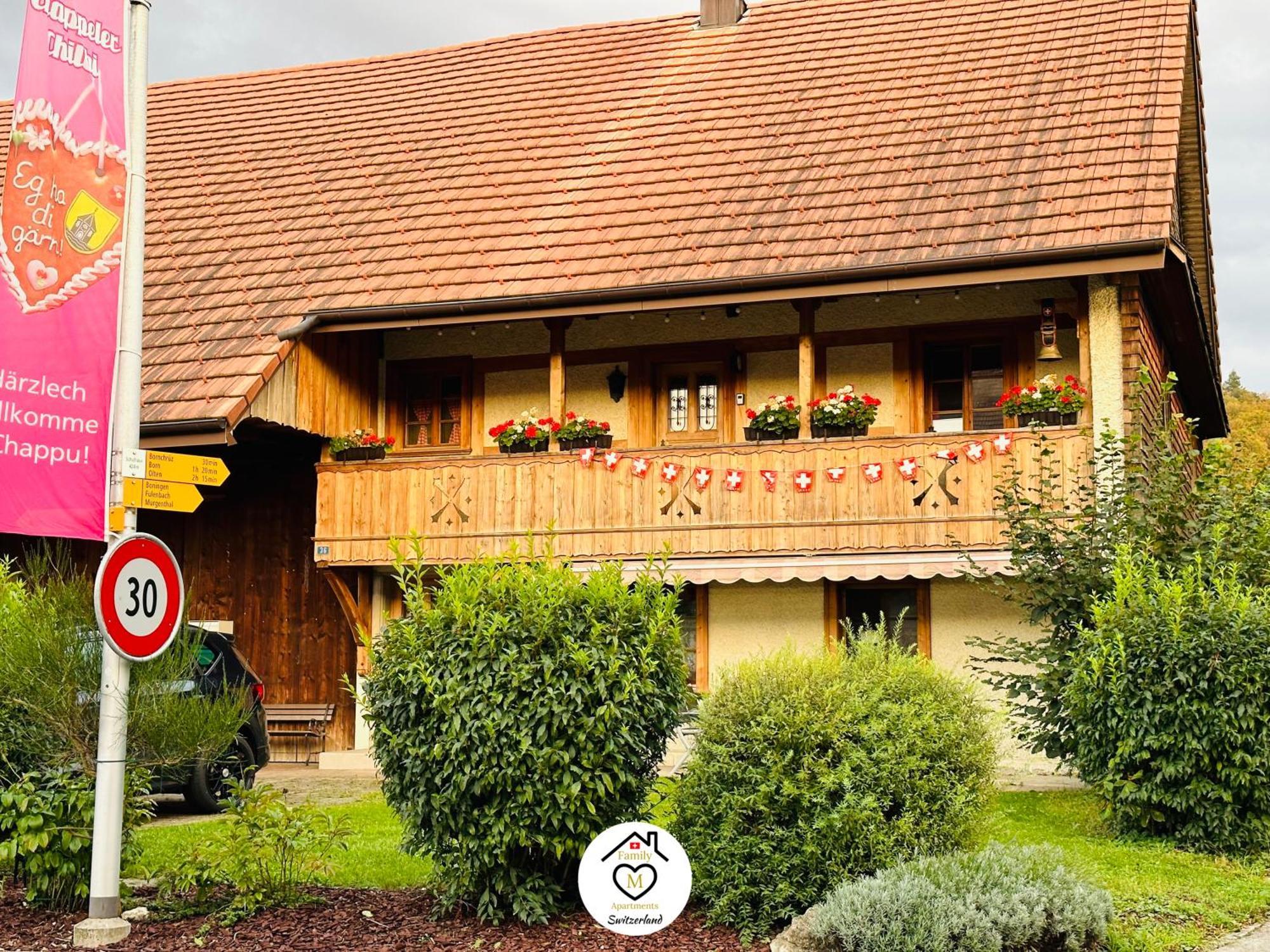 Family M Apartments 15 Kappel bei Olten Екстериор снимка